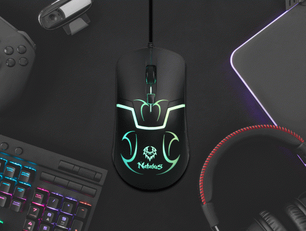 RAPOO 1620 WIRELESS MOUSE (1YW) - Image 2