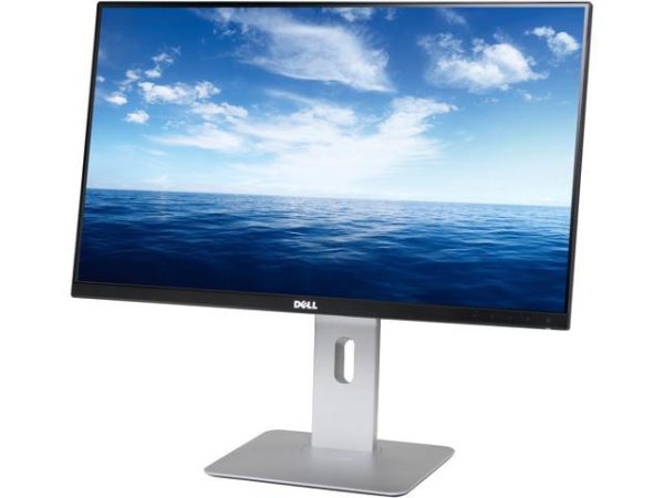Dell UltraSharp 24 Monitor - U2414H (3MW)