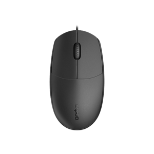 RAPOO N100-BLACK MOUSE (1YW)