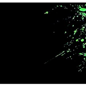 Razer Green Large Gaming Mouse Pad [790mm*300mm*3mm]